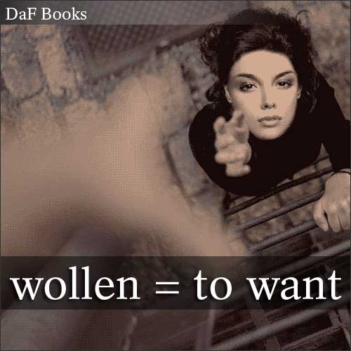 wollen - to want: DaF Books vocabulary list